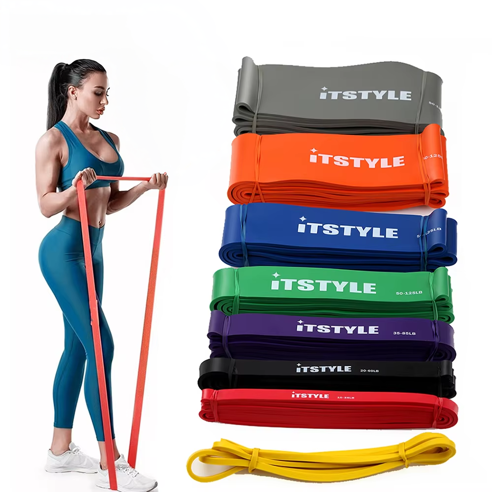 Resistance Bands Pro – 8 Niveles de Potencia  (208cm)